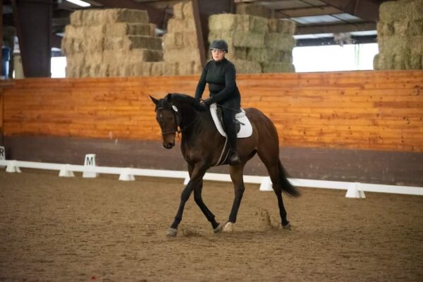 dressageshow1